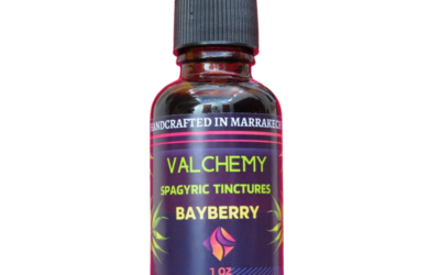 Bayberry Spagyric Tincture