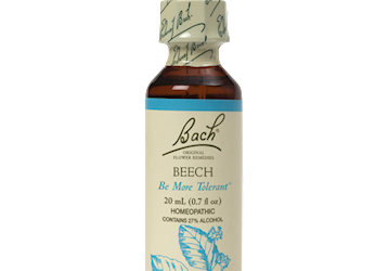 Beech Flower Essence 20 ml