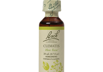 Clematis Flower Essence 20 ml