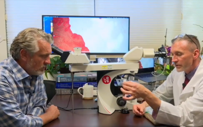 Dr. Ryan Cole & Del Bigtree: Watch COVID shot attack human blood cells in vitro, live