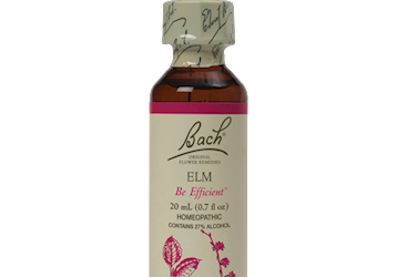 Elm Flower Essence 20 ml
