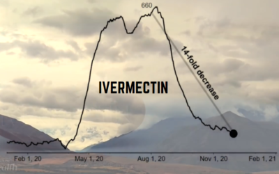 Pharmaceutical Industry Corruption of IVERMECTIN (video)