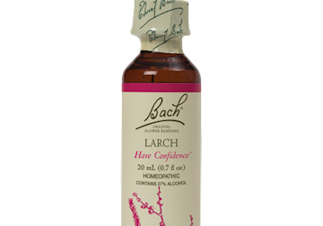 Larch Flower Essence 20 ml