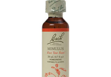 Mimulus Flower Essence 20 ml
