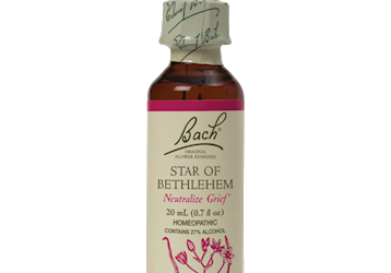 Star of Bethlehem Flower Essence 20 ml