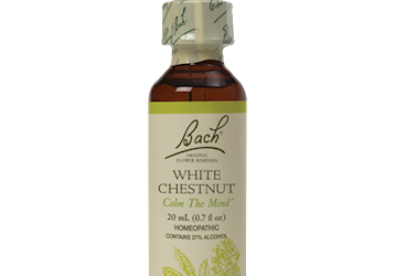 White Chestnut Flower Essence 20 ml