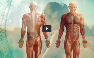 [This week] Learn about fascia & pain-free living from expert talks & eBooks