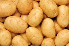 genetically engineered potatoes