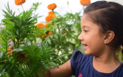 Vegetable consumption increases when children learn to garden!