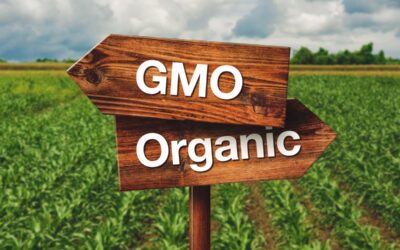 Indian state will pay farmers to go 100 percent organic and GMO-free