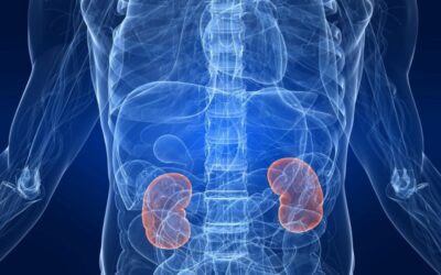 Habits That Cause Kidney Damage