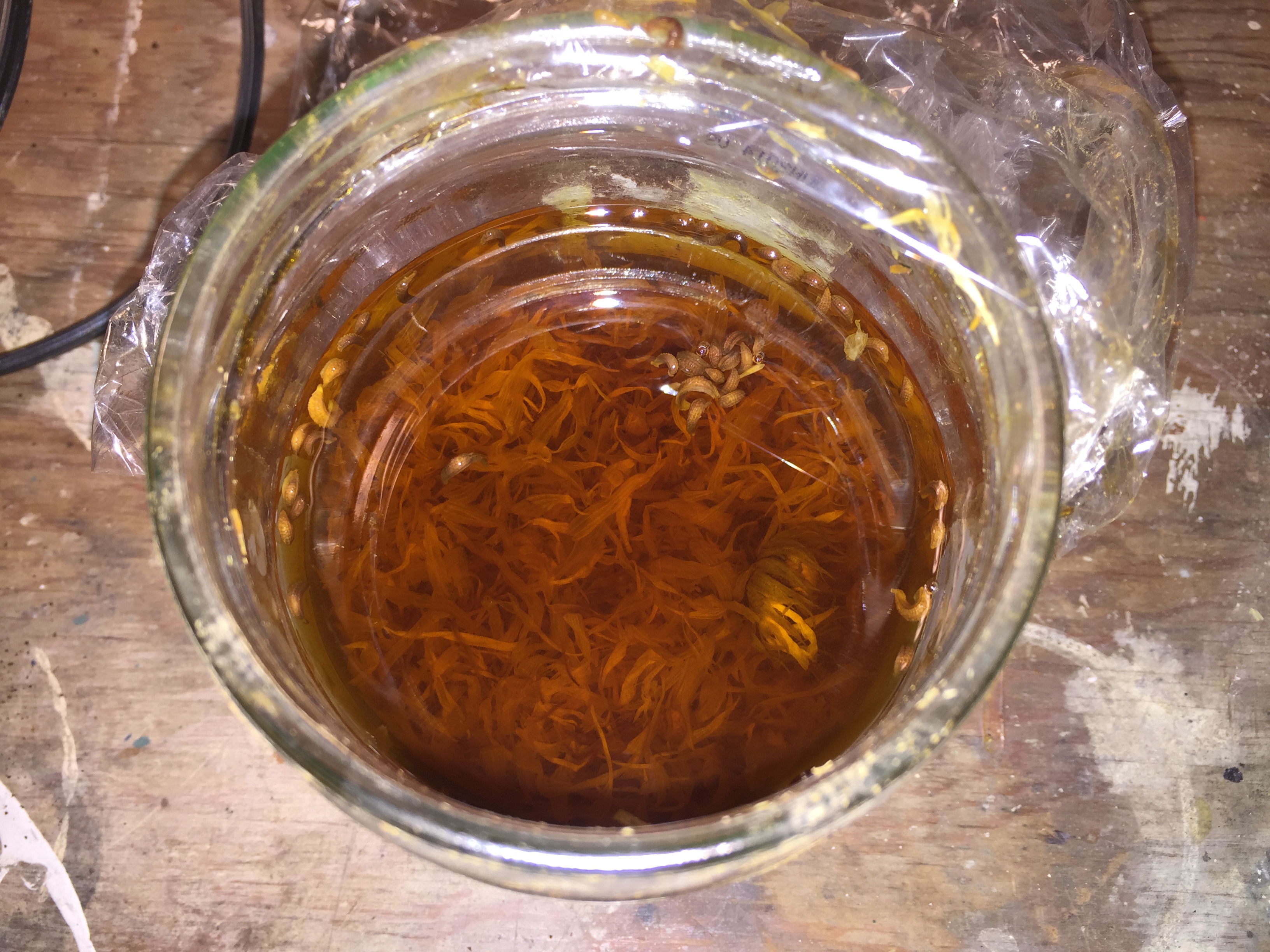Maceration in alcohol