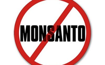 Washington State Holds Monsanto Accountable