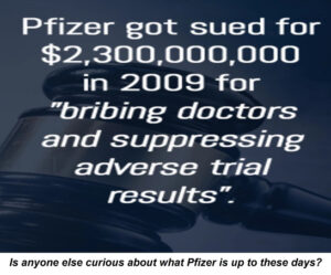 pfizer criminal history