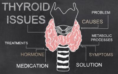 The Thyroid Gland and Hormonal Imbalances