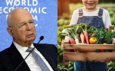 WEF Demands Ban on Home-Grown Food to Stop ‘Global Warming’