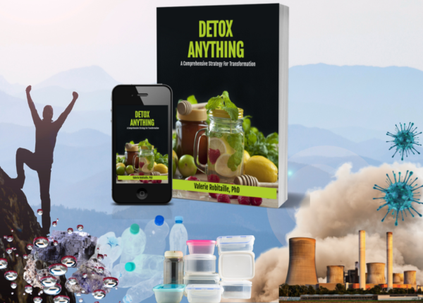 Detox Anything Course - Image 4